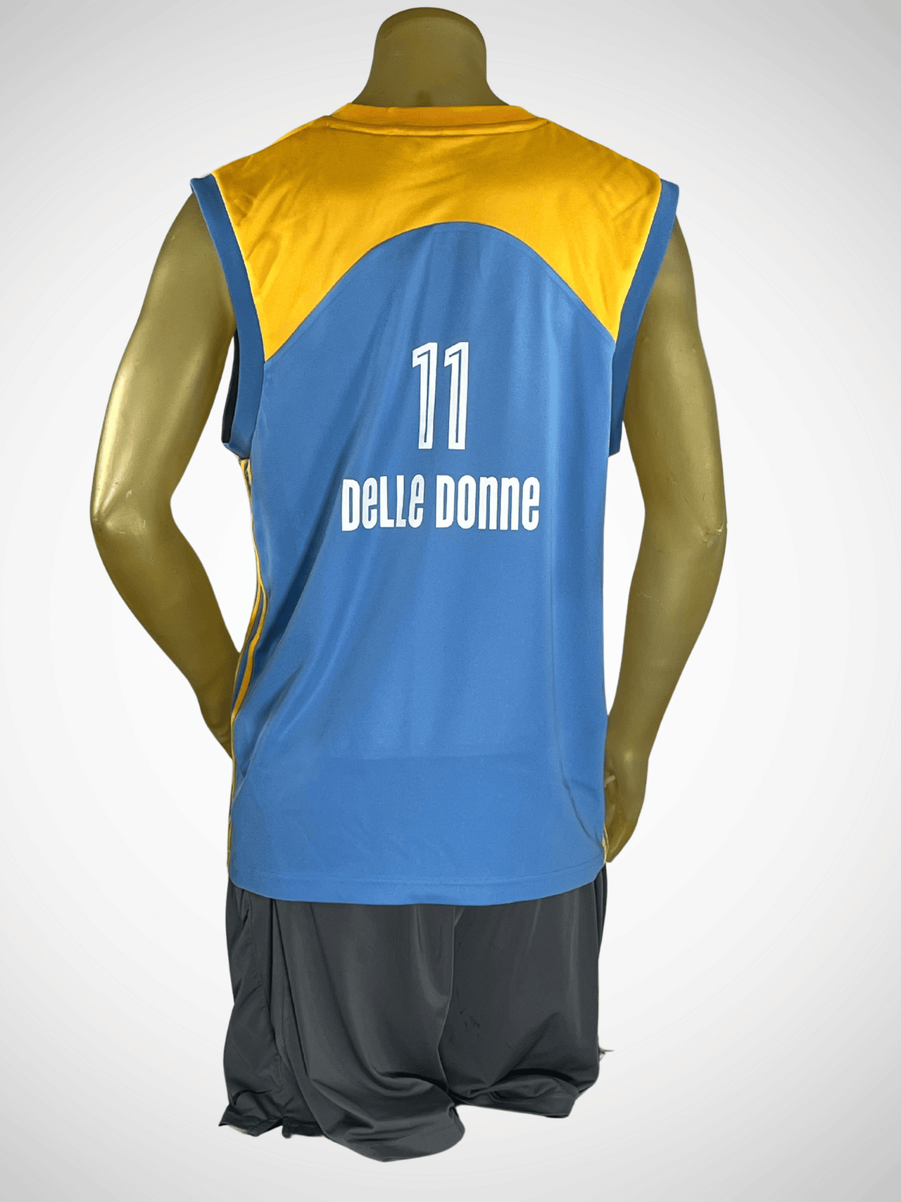 Vintage Chicago Sky Delle Donne Jersey