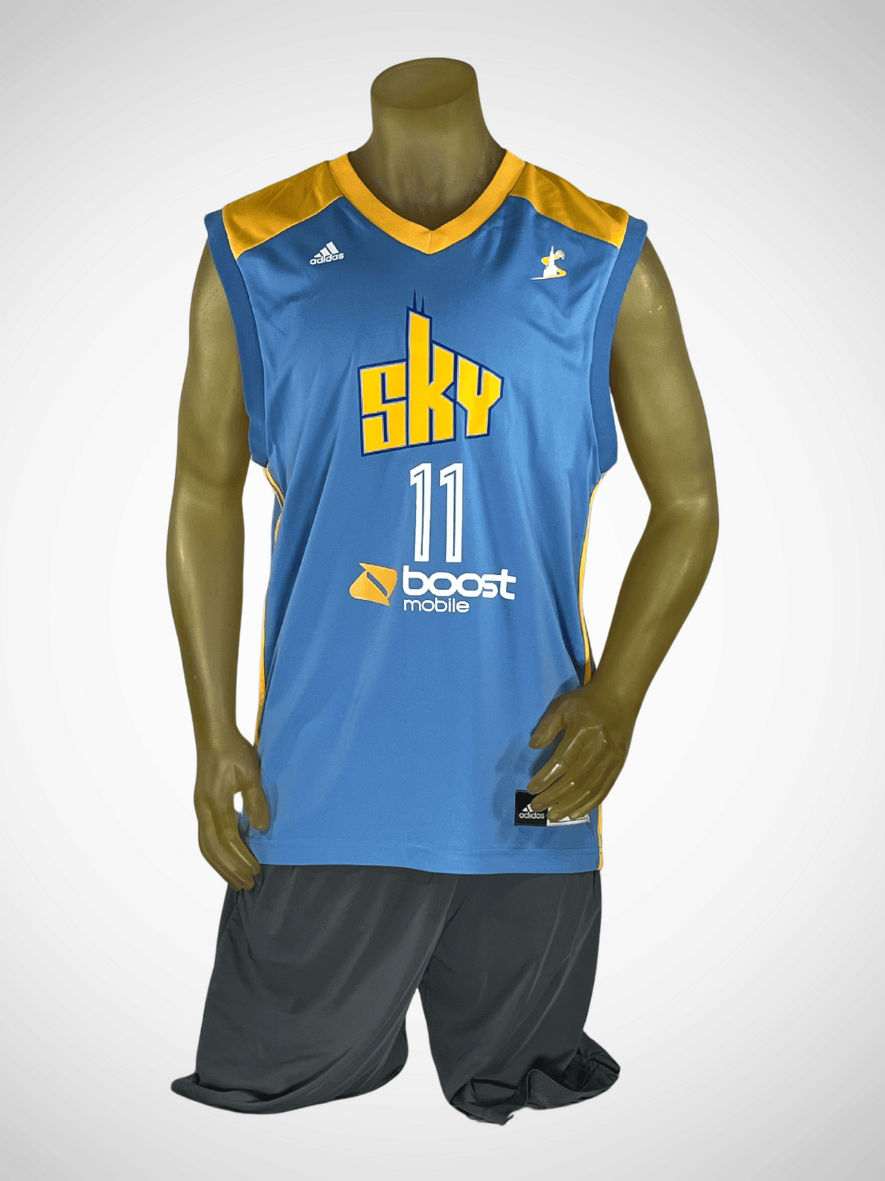 Vintage Chicago Sky Delle Donne Jersey